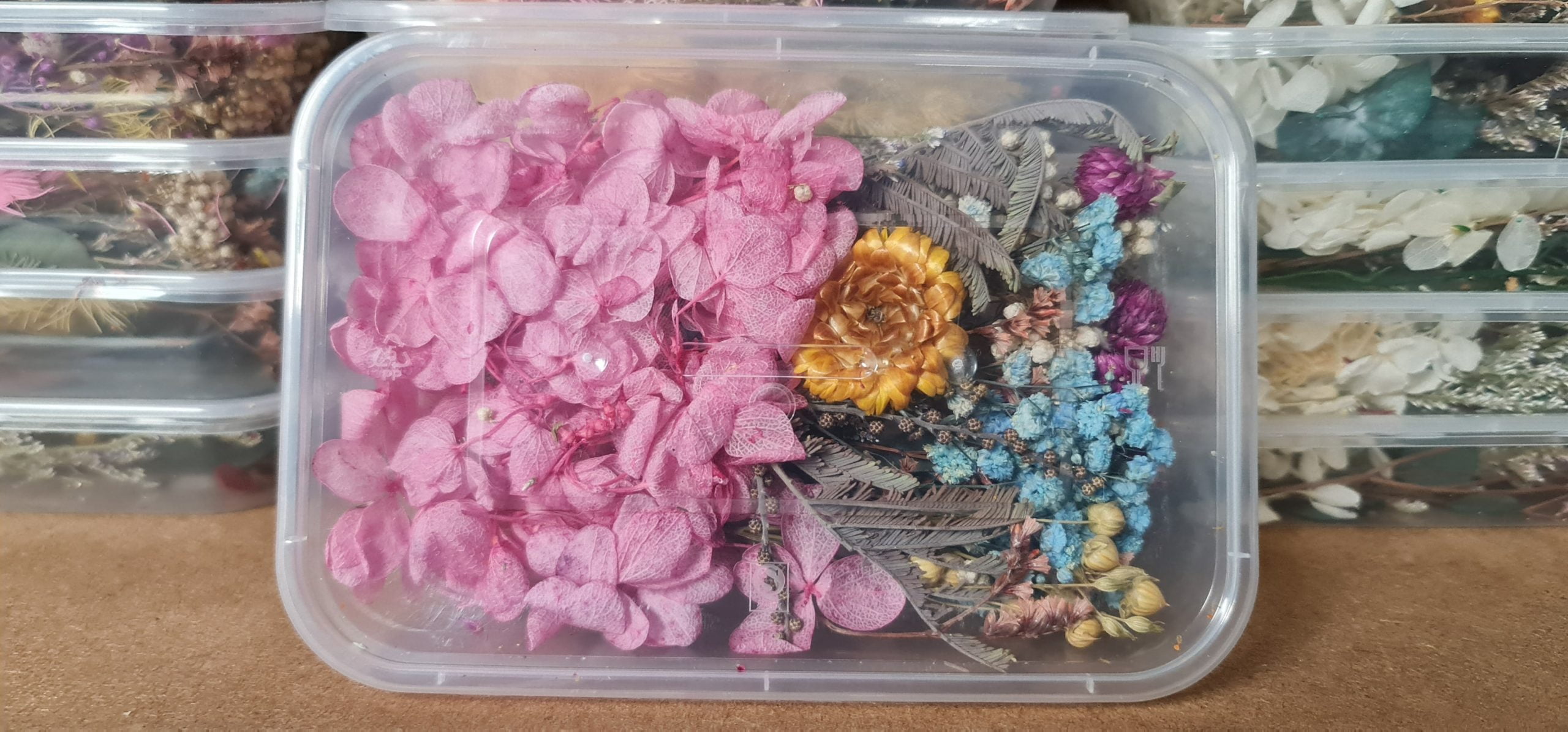 Dried-Flowers-4-scaled-1.jpg