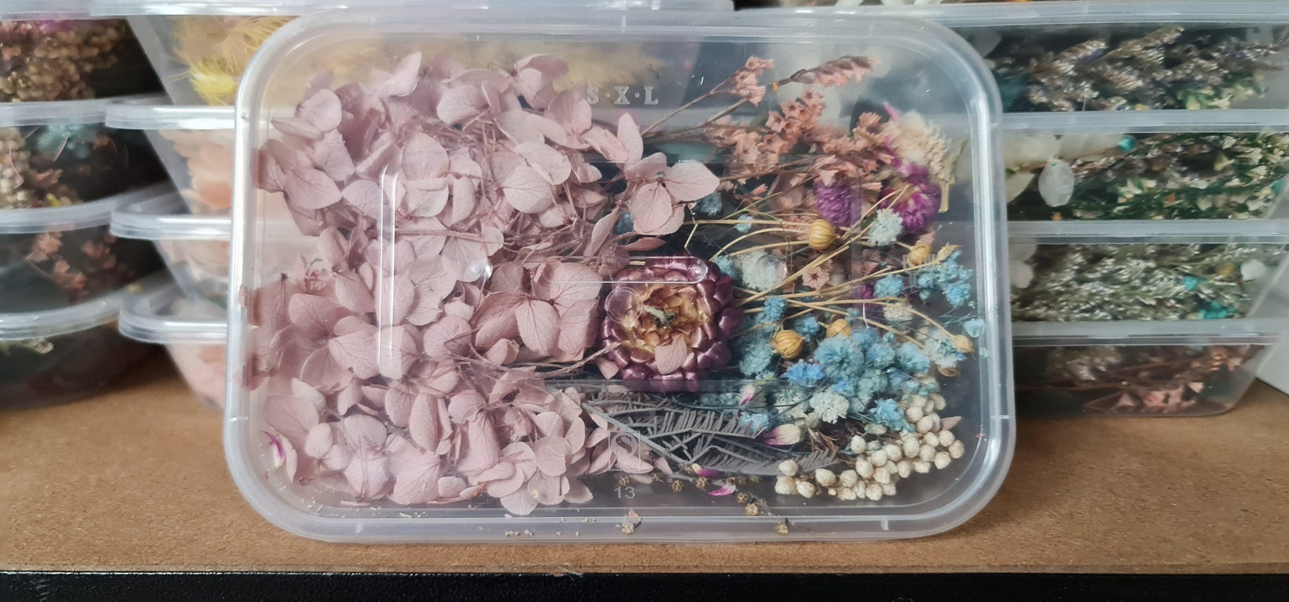 Dried-Flowers-9-scaled-1.jpg